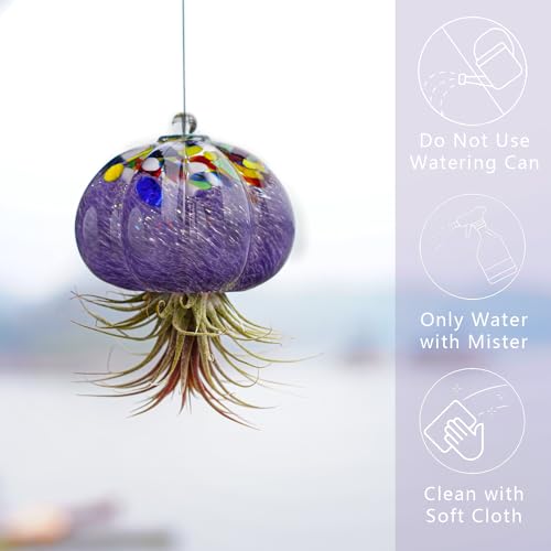 H&D Hyaline & Dora Hanging Hand Blown Art Glass Jellyfish Air Planter Terrarium Decor For Garden Porch Windowsill  thumb #3