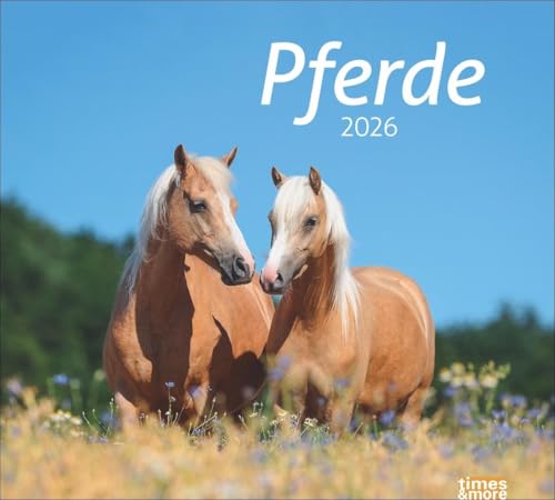 times&more Pferde Bildkalender 2026: times&more Tierkalender für Pferdefreunde. Kalender mit spektakulären Fotos edler Pferde. Wand-Kalender 2026. (times&more Kalender Heye)