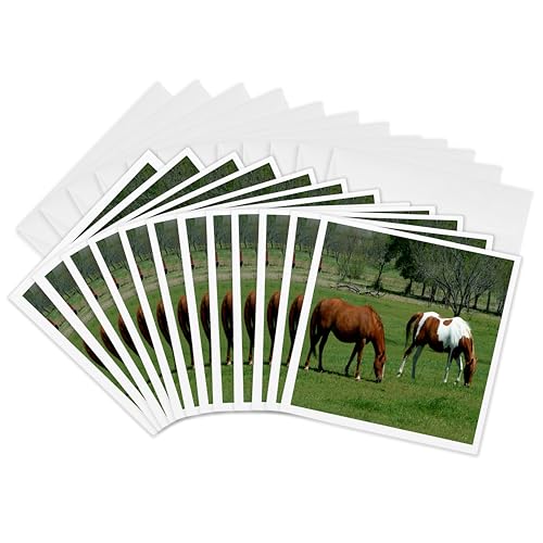 Cartes de vœux 15 x 15 cm lot de 12 3dRose Gc_285488_2 illustration équestre