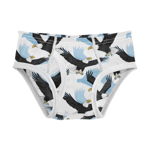 Wusikd Black White Boys' Underwear Cotton American Bald Boys Briefs Soft Toddler Underwear 2T