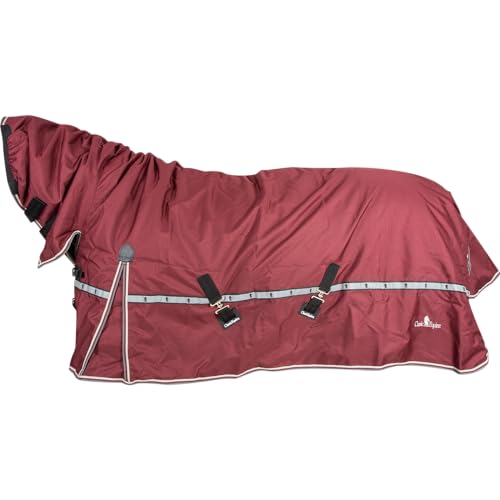 Classic 10K Trainer Hooded Winter Horse Blanket Port M