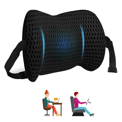 Rynvarl Cuscino Lombare Ergonomico in Memory Foam – Supporto Schiena Ortopedico per Sedia da Ufficio, Auto e Casa – Traspirante, Lavabile e con Cinghia Regolabile