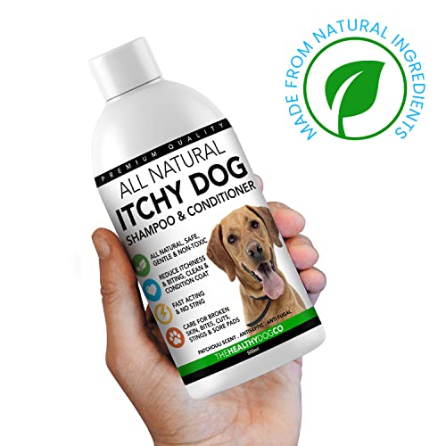 The Healthy Dog Co - Dog Shampoo For Itchy Skin - Dog Shampoo Sensitive Skin - Natural Itch Relief For Dogs - Dog Itchy Skin Treatment - Itchy Skin Relief For Dog - Anti Itch Dog Shampoo - 16Oz #TOP1