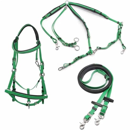 Juego completo de riendas de caballo y brida de sillín para resistencia y conducción por senderos