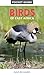 Pocket Guide to Birds of East Africa