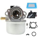 Kit De Remplacement De Carburateur De Moteur Compatible avec Brigg et Stratton 497586 498170 799868 498254 497314 497347 698444 avec Filtre à Air