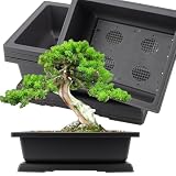 KINJOEK 3 PCS 14 Inch Plastic Bonsai Pots, Large Training Pot
