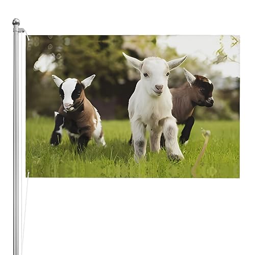 Drapeau de chèvre anti-décoloration avec œillets contre le vent