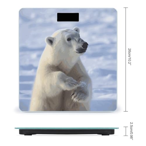 Báscula Digital Inteligente Polar Bear Precisa Para Baño miniatura 2