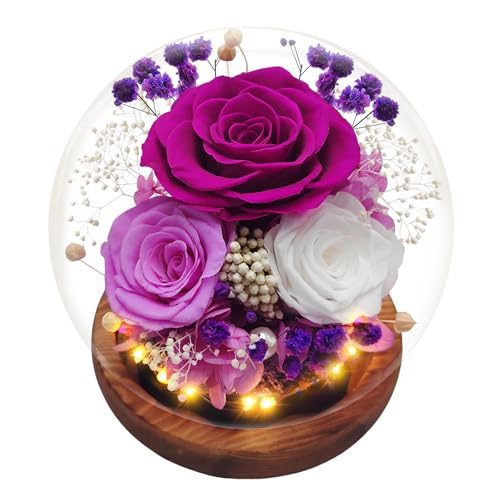 Rosa eterna natural preservada, rosa eterna em copo com luz, rosas flores preservadas, roxo ramo de flores reais em cúpula de vidro, presentes para mãe namorada esposa aniversário natal aniversário