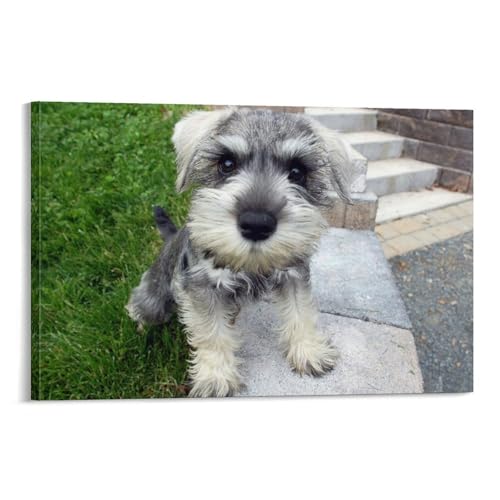 Schnauzer poster cadeau idéal pour amoureux des chiens toile 40x60