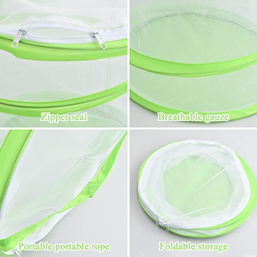 Einfach aufzubauendes Schmetterlingszucht-Set mit Raupen und Netz Käfig - Schmetterlingshaus und Schmetterlingsbaum für Ihre Schmetterlings-Orchideentöpfe(30 x 35 cm)