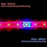 Tesfish B07CYRYLRT lato 4