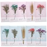 Dimensions et matériaux raffinés : se plie à 9 × 16 cm, se déplie à 18 × 16 cm. Le papier de qualité supérieure et les fleurs séchées durables en font à la fois une carte de vœux et un objet décoratif de collection.