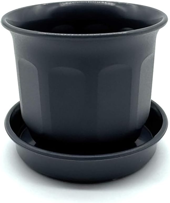 Kimmel Flower Pot 6 cm Plant Pot Mini with Saucer Set of 6 Grey