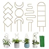 Wellsign Indoor Plant Trellis for Potted Plants, 16inch Gold Small Trellis for...