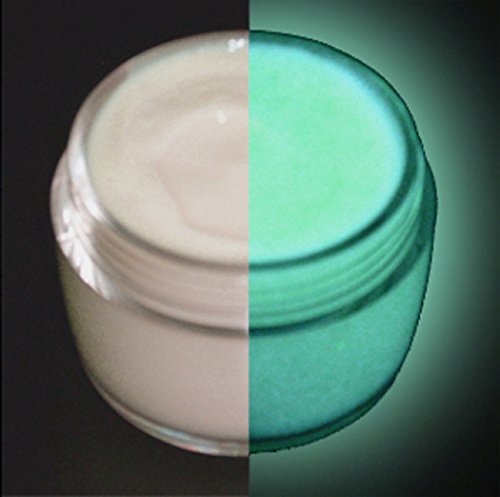 Glow In The Dark Paint, Uv Reactive Luminous Glowing Daytime Invisible Profx Aqua 2 Ounces #TOP7