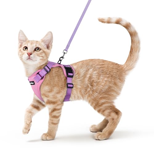 Image of rabbitgoo Cat Harness and Leash Set, Escape Proof Vest, Pink & Light Purple | Soft Breathable Mesh, Easy Adjustable Fit, Snap Buckles, Sturdy Clip, Reflective Strips, for Small & Average Cats Walks, Xs