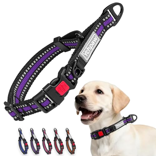 Ychpaw Martingale Collar for Dogs Reflective Collar with Quick Release