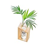 Ideal para plantas de aire, plantas acuáticas, flores, plantas artificiales, etc.