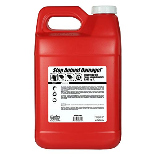 Mole & Vole Stopper, Granular Animal Repellent, All Natural, Effective All Year Round, Safe for People and Pets, No Harsh Chemicals, Ready to Use, Mole & Vole Animal Repellent - 12 lb. Bulk - Thumbnail 3