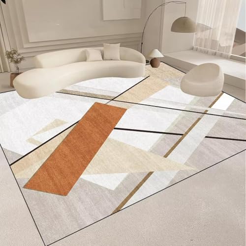 Tapis moderne pour salon lavable et antidérapant pour table basse