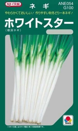 Amazon ネギ 種 ホワイトスター 小袋 約ml 野菜