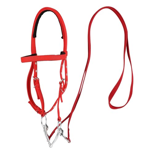 Brida de caballo de caballo, Halter Halter Bridle | Trail Riding Horse Snaffle,Reins de montar ecuestres ajustables para adultos, banda de nariz de snaffle equina