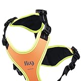 Julius-K9, 19MTR-for-M-AMZ, Mantrailing & Outdoor Hundegeschirr, Größe: M, UV orange mit neon Rand