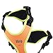 Julius-K9, 19MTR-for-M-AMZ, Mantrailing & Outdoor Hundegeschirr, Größe: M, UV orange mit neon Rand