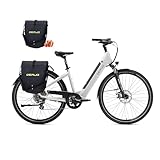 DERUIZ Elektrofahrrad 28 Zoll Damen E Bike Herren Elektrofahrräder,250W/48V/13,4AH 40N.m BAFANG Motor-Shimano 8 Gang-Schaltung-City Electric Bike Fahrrad Elektro 25km/h