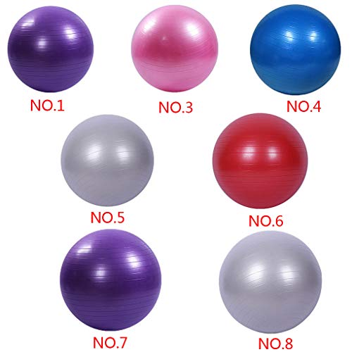 Sports ioga bola Gym Balance Fitball Exercício Pilates Workout Ball - Purple - 55 centímetros
