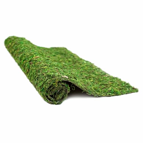 Gal&aacute;pagos (05094 CrashPad, Mossy Terrarium Liner, Natural, 18 x 36
