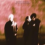  Vicious Pastimes [Vinyl LP]