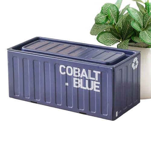 Pequeña de metal, portátil, multifuncional, a prueba de óxido, decoración del hogar, recipientes de almacenamiento con, para niños, niñas, jóvenes, adolescentes, viajes, interiores