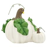 ENESCO Home Grown from Pumpkin Hen and Baby Figurine 3 in