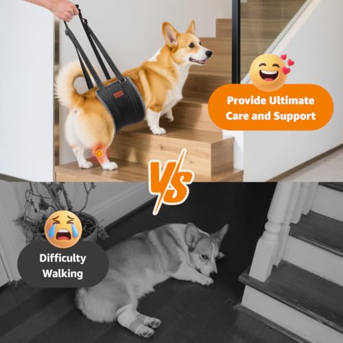 Image of LOOBANI Dog Sling for Large Dogs Hind Leg Support to Help Lift Rear Legs