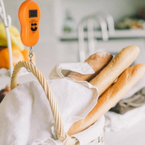 ULDIGI |[^udq݂艺XP[ fލϋvtbN ƗpLb`vʊ ȃGl\ ނ藷sוΉ