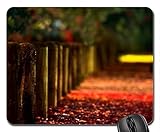 Roter Teppich-Brücken-Mauspad, Mousepad