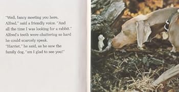 Hardcover Alfred, the Little Bear Book