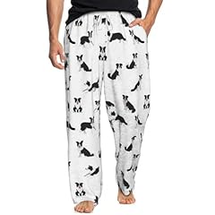 Border Collie Dog White Background