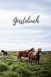  Gästebuch: Urlaub auf dem Reiterhof, Bauernhof und co.