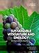 Sustainable Viticulture And Enology