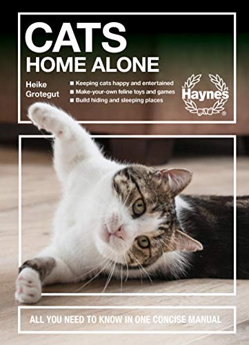 Cats Home Alone view 2