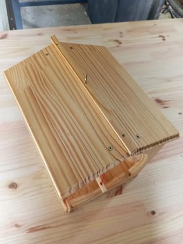 Tratador de Pássaros em Madeira Maciça com Poleiro, 28x24x32 cm, Resistente ao Tempo