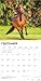 Horse Lovers | 2027 12 x 24 Inch (Hanging) Monthly Square Wall Calendar | Plastic-Free | BrownTrout | Animals Equestrian