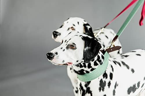 Collier pour chien jacquard XS cuir vert olive - 7