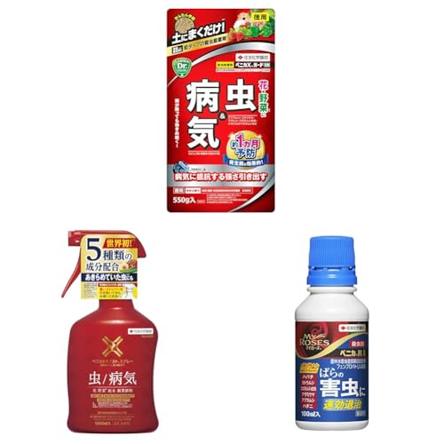 yZbgzZFw| EEۍ xjJXK[h  550g     aC  + EEۍ xjJXlNXgXv[ 1000ml 5  + E܃xjJR 100ml KN AuV n_j AU~E}
