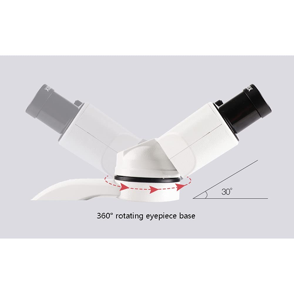 Microscopio Binoculare Composto Microscopi da Laboratorio Lente d'Ingrandimento Tavolino Meccanico per Laboratorio didattico Kit scientifico per hobbisti