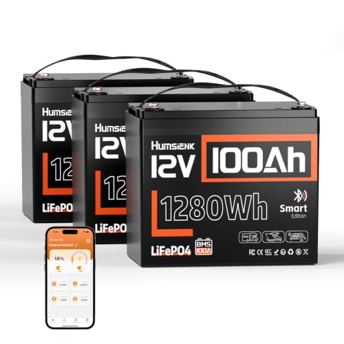 Image of 3 Pack 12V 100Ah LiFePO4 Lithium Battery with Bluetooth (Group 24), 15000+ Deep Cycles Battery, Built-in 100A BMS & Low-Temp Protection, Max. 1280 Energy for RV /Boat /Off-Grid /Home Backup